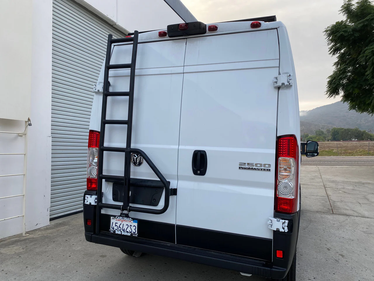 Aluminess 2014+ Ram ProMaster Rear Door Ladder - Image 6