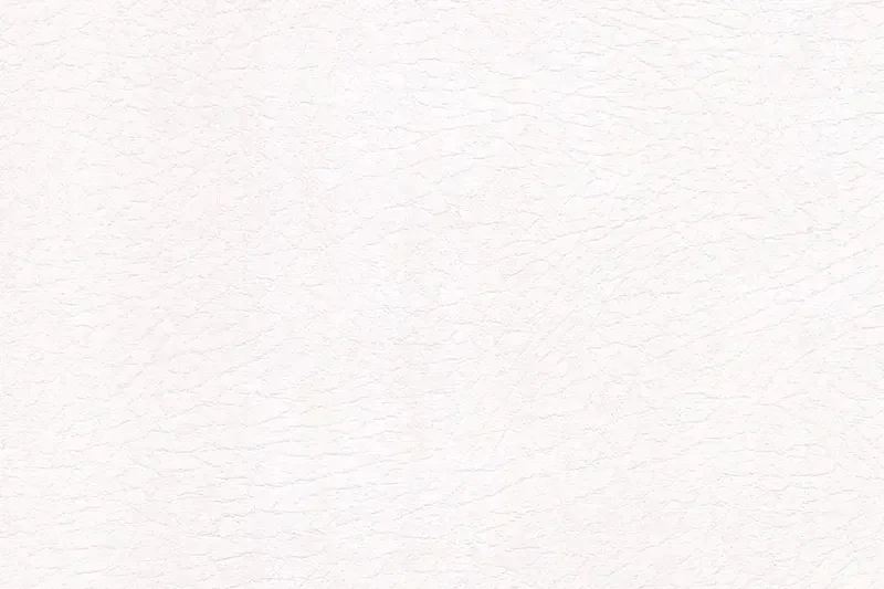 Vaquero Automotive Vinyl - Image 10