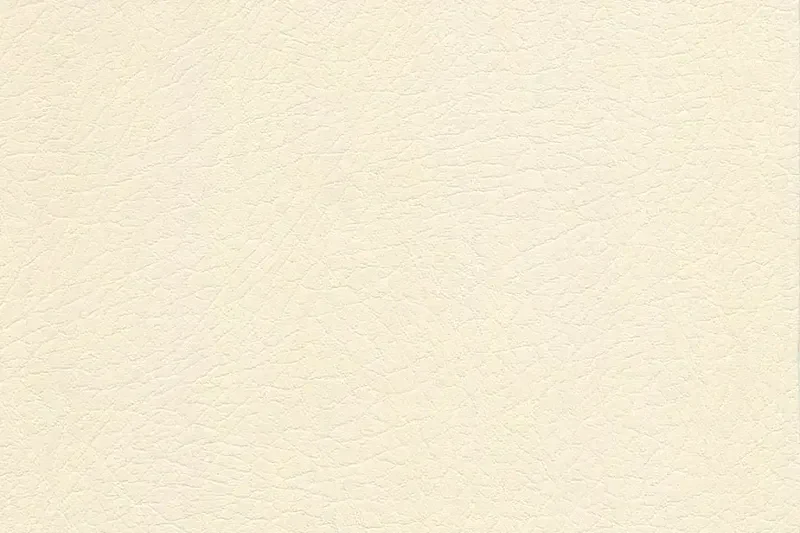 Vaquero Automotive Vinyl - Image 5