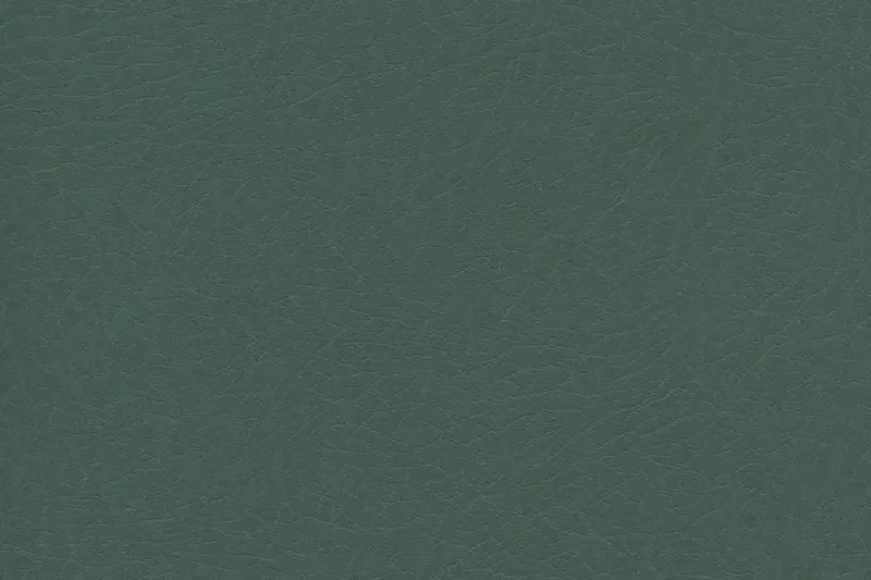 Vaquero Automotive Vinyl - Image 6